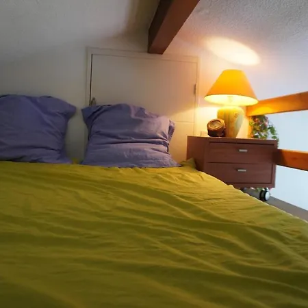 Feriehus Barcarelles Avec Piscine Clim 5 Personnes Le Barcarès